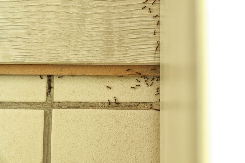 Ant Pest Control Methods That Target Colonies At The Source