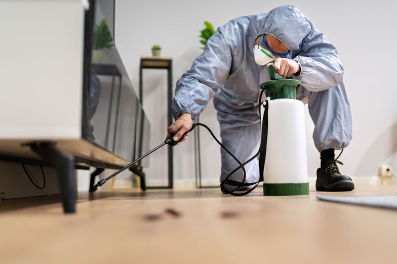 Residential Fumigation in Tampa, FL