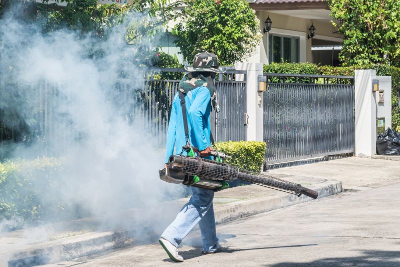 Roach Fumigation in Asheville, NC