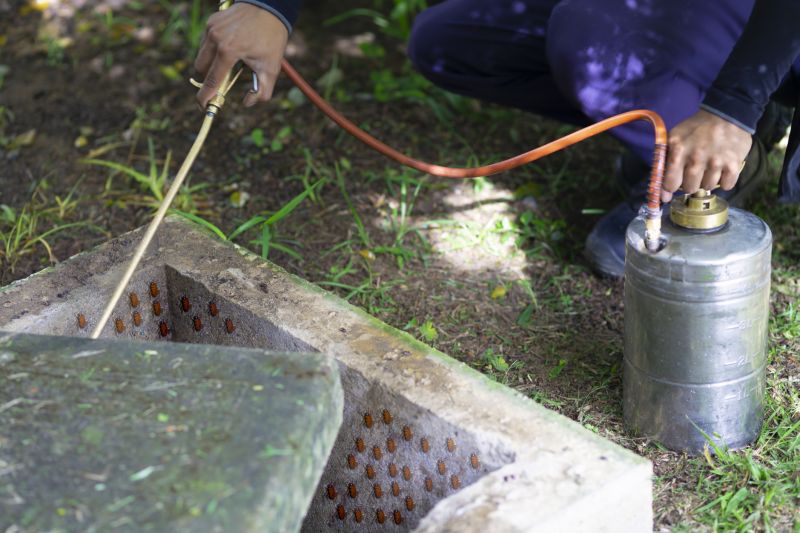 Spider Fumigation Service in Madison, WI