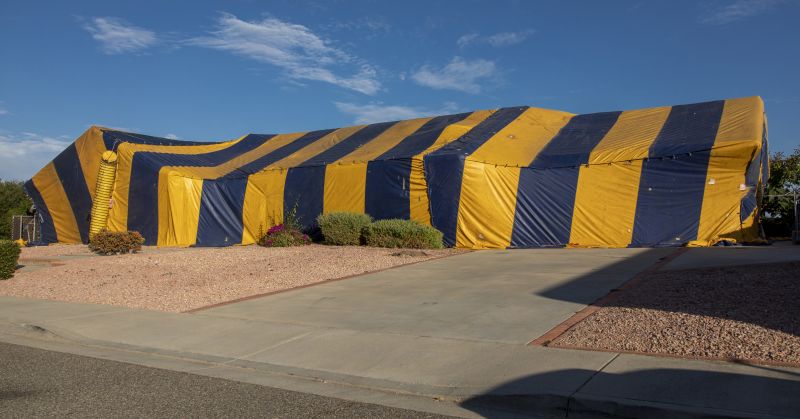 Termite Tenting in Santa Fe, NM
