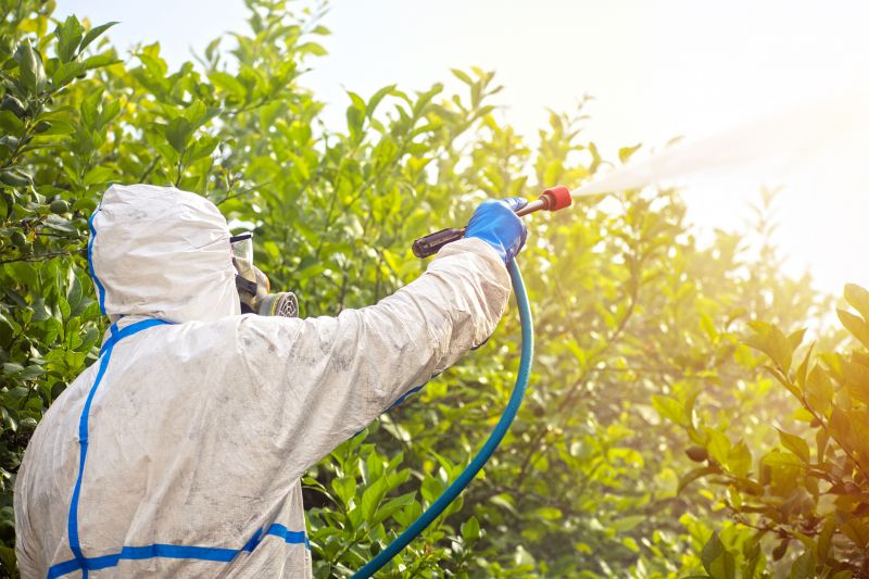 Fumigation Service in Marietta, GA