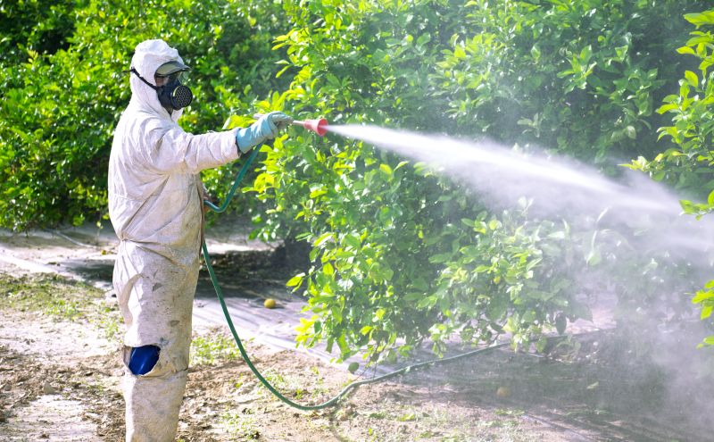 Pest Fumigation Service in Cumming, GA