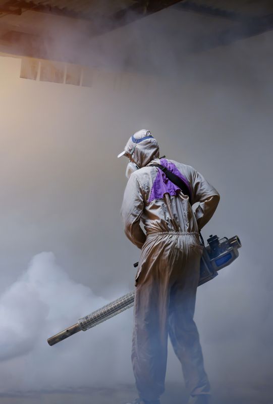 Roach Fumigation in Ann Arbor, MI